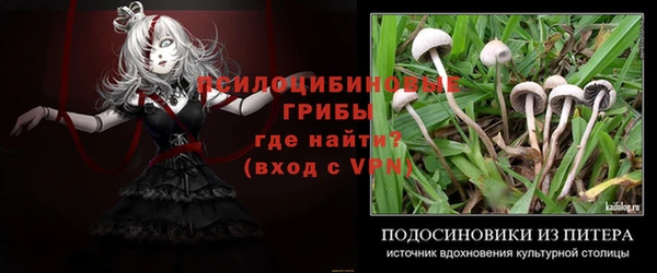 синтетический гашиш Богородск