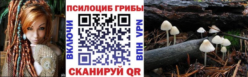 Купить закладки  Туринск  Псилоцибиновые грибы Magic Shrooms 
